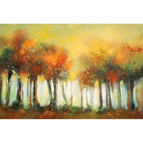 Hinterland 6 Black Modern Wood Framed Art Print by Dag, Inc.
