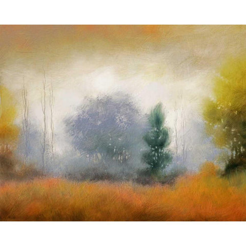 Hinterland 11 Black Modern Wood Framed Art Print with Double Matting by Dag, Inc.