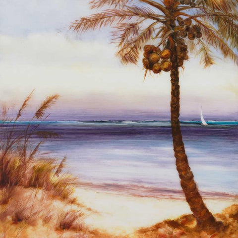 Set Sail 14 Black Modern Wood Framed Art Print with Double Matting by Dag, Inc.