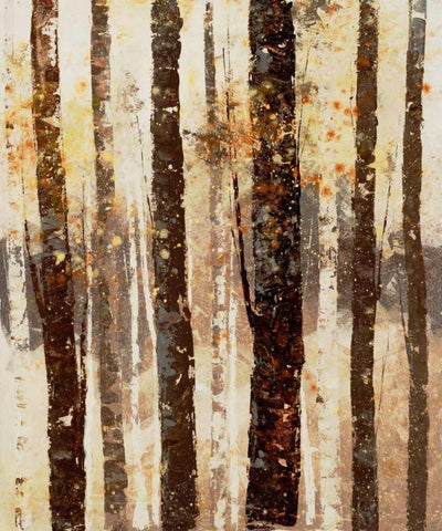 Woodland 7 Black Ornate Wood Framed Art Print with Double Matting by Dag, Inc.