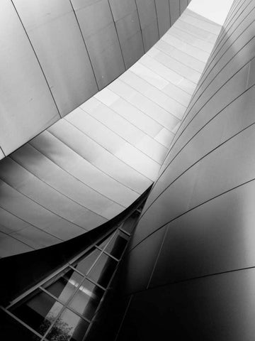 Ode to Gehry 6 Black Ornate Wood Framed Art Print with Double Matting by Dag, Inc.