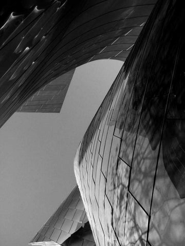 Ode to Gehry 7 Black Ornate Wood Framed Art Print with Double Matting by Dag, Inc.