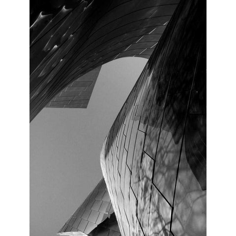 Ode to Gehry 7 Gold Ornate Wood Framed Art Print with Double Matting by Dag, Inc.