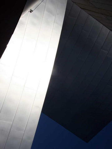 Ode to Gehry 52 Black Ornate Wood Framed Art Print with Double Matting by Dag, Inc.