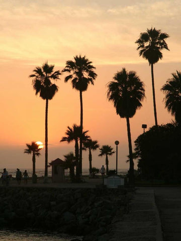 Photography/Landscape 122 White Modern Wood Framed Art Print with Double Matting by Dag, Inc.