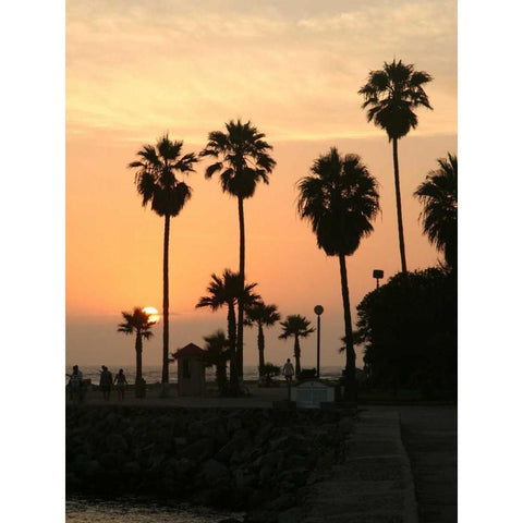 Photography/Landscape 122 White Modern Wood Framed Art Print by Dag, Inc.