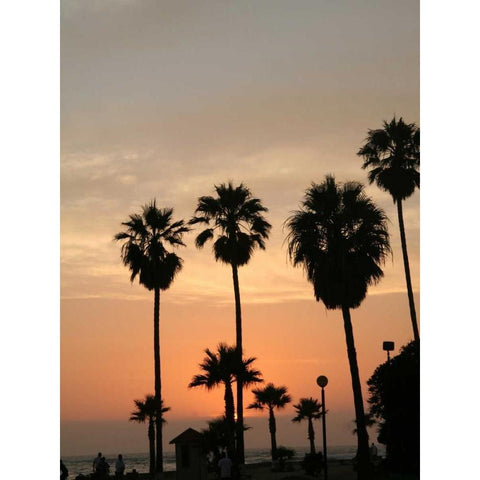 Photography/Landscape 123 Black Modern Wood Framed Art Print with Double Matting by Dag, Inc.