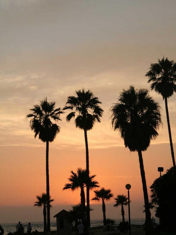 Photography/Landscape 123 Black Ornate Wood Framed Art Print with Double Matting by Dag, Inc.