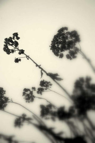 Photography/Landscape 154 Black Ornate Wood Framed Art Print with Double Matting by Dag, Inc.