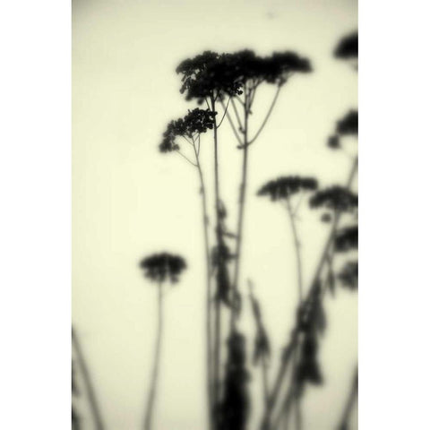 Photography/Landscape 156 Black Modern Wood Framed Art Print with Double Matting by Dag, Inc.