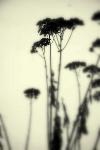 Photography/Landscape 156 White Modern Wood Framed Art Print with Double Matting by Dag, Inc.