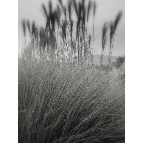 Photography/Landscape 180 Black Modern Wood Framed Art Print with Double Matting by Dag, Inc.