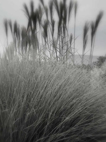 Photography/Landscape 180 White Modern Wood Framed Art Print with Double Matting by Dag, Inc.