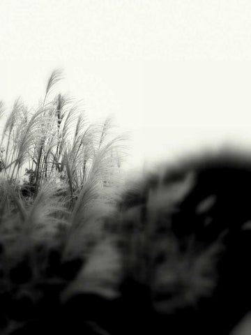 Photography/Landscape 181 Black Ornate Wood Framed Art Print with Double Matting by Dag, Inc.