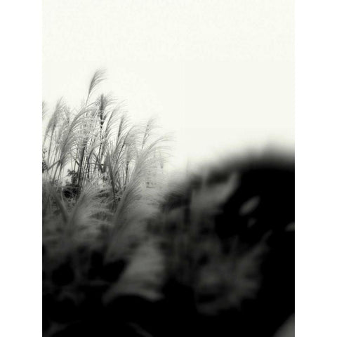 Photography/Landscape 181 Black Modern Wood Framed Art Print by Dag, Inc.