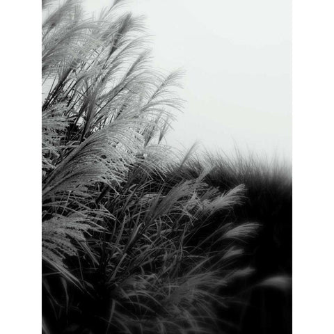 Photography/Landscape 182 Black Modern Wood Framed Art Print with Double Matting by Dag, Inc.