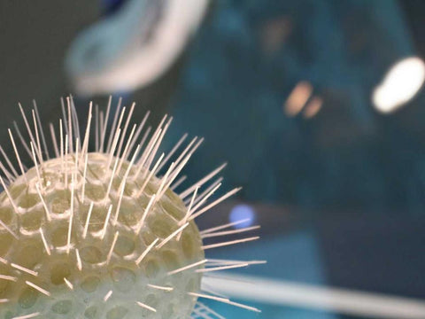 Underwater World 34 White Modern Wood Framed Art Print with Double Matting by Dag, Inc.