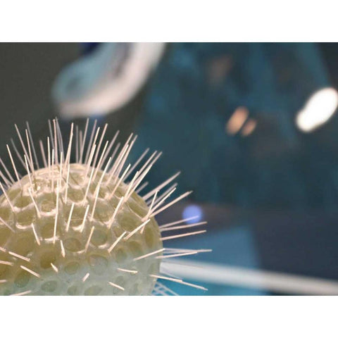 Underwater World 34 Black Modern Wood Framed Art Print with Double Matting by Dag, Inc.