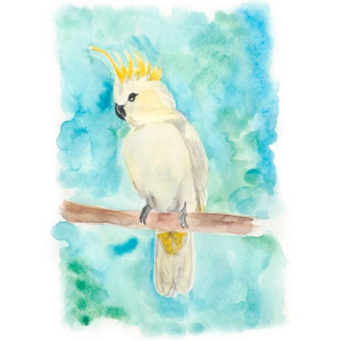 Sweet Tropical Bird II White Modern Wood Framed Art Print by Moore, Regina