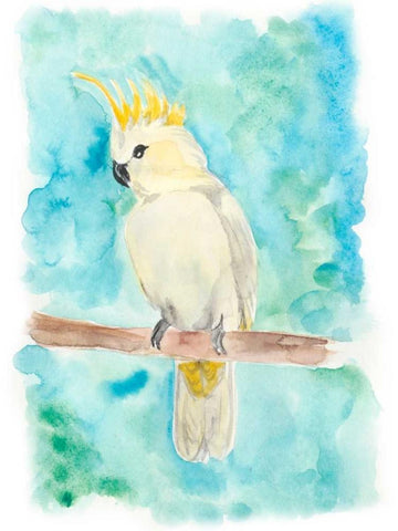 Sweet Tropical Bird II White Modern Wood Framed Art Print with Double Matting by Moore, Regina