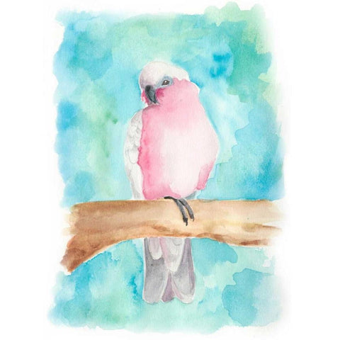 Sweet Tropical Bird III White Modern Wood Framed Art Print by Moore, Regina