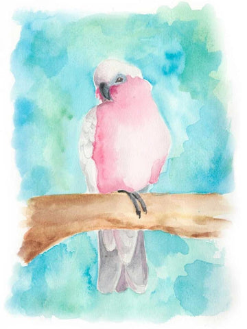 Sweet Tropical Bird III Black Ornate Wood Framed Art Print with Double Matting by Moore, Regina