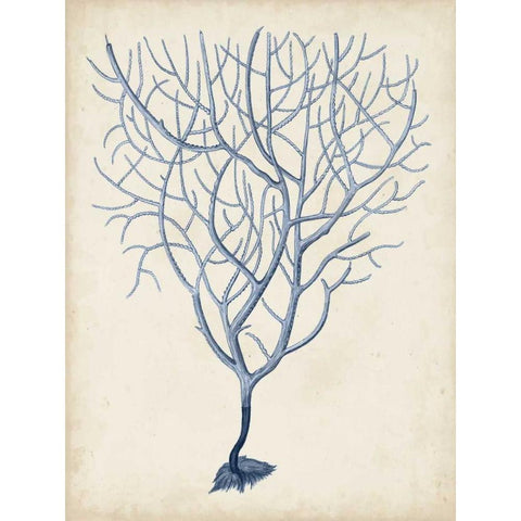 Indigo Coral III White Modern Wood Framed Art Print by Vision Studio