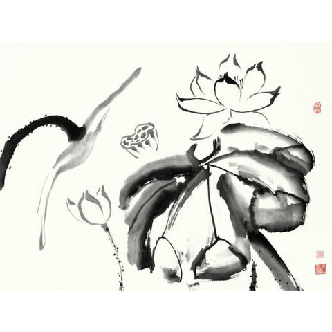 Lotus Study III Black Modern Wood Framed Art Print by Rae, Nan