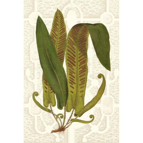 Garden Ferns I Gold Ornate Wood Framed Art Print with Double Matting by Vision Studio