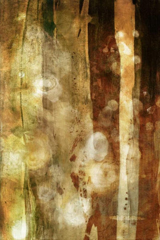 Golden Glow II Black Ornate Wood Framed Art Print with Double Matting by Jasper, Sisa