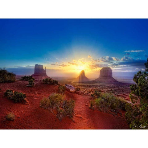 Pink Morning Glory I Gold Ornate Wood Framed Art Print with Double Matting by Drost, David