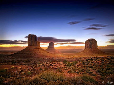 Pink Morning Glory II Black Ornate Wood Framed Art Print with Double Matting by Drost, David