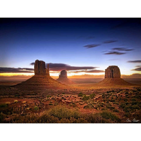 Pink Morning Glory II Black Modern Wood Framed Art Print with Double Matting by Drost, David