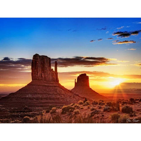 Pink Morning Glory III Black Modern Wood Framed Art Print with Double Matting by Drost, David