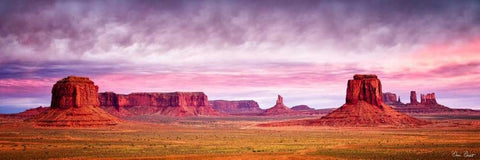 Pink Morning Glory V Black Ornate Wood Framed Art Print with Double Matting by Drost, David