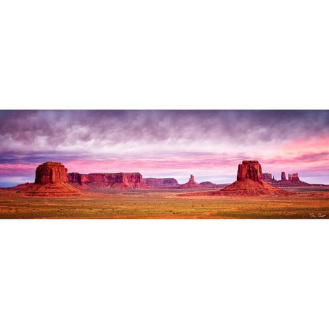 Pink Morning Glory V Black Modern Wood Framed Art Print with Double Matting by Drost, David