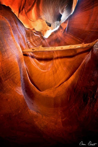 Sun Shining Through Canyon V White Modern Wood Framed Art Print with Double Matting by Drost, David