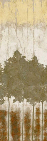 Natures Quartet II Black Ornate Wood Framed Art Print with Double Matting by Saunders, Alonzo