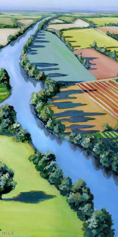 Flying Above II Black Ornate Wood Framed Art Print with Double Matting by Mica