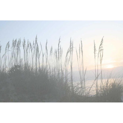 Morning Whisper I Gold Ornate Wood Framed Art Print with Double Matting by Chandler, Sharon