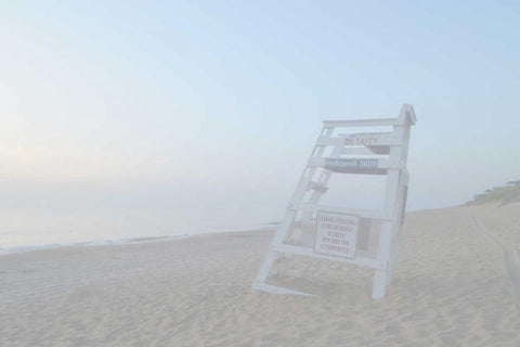 Off Duty II Black Ornate Wood Framed Art Print with Double Matting by Chandler, Sharon