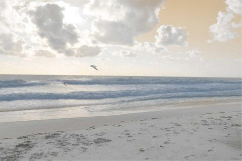 Serene Sea I Black Ornate Wood Framed Art Print with Double Matting by Chandler, Sharon