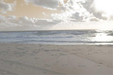 Serene Sea II Black Ornate Wood Framed Art Print with Double Matting by Chandler, Sharon