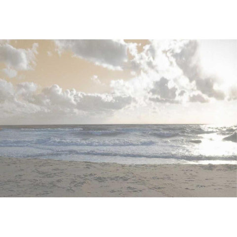 Serene Sea III Black Modern Wood Framed Art Print by Chandler, Sharon