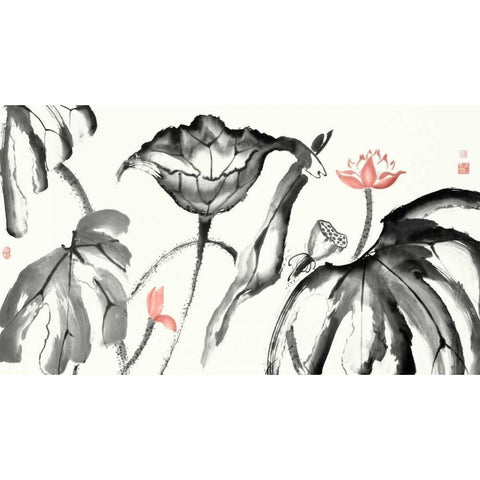 Lotus Study with Coral I Black Modern Wood Framed Art Print with Double Matting by Rae, Nan