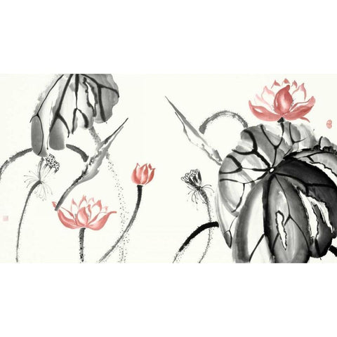 Lotus Study with Coral II Black Modern Wood Framed Art Print with Double Matting by Rae, Nan