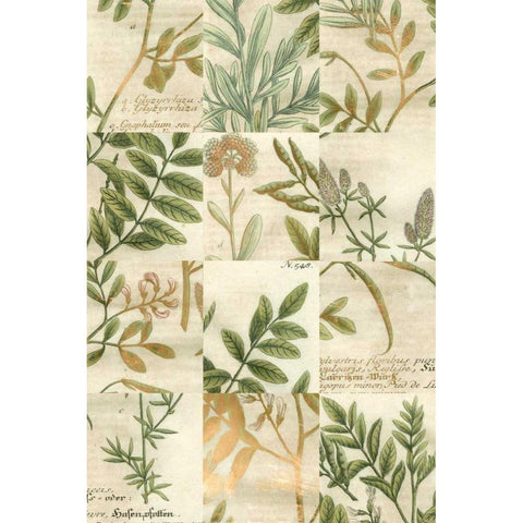 Garden Grid I White Modern Wood Framed Art Print by Weinmann, Johann
