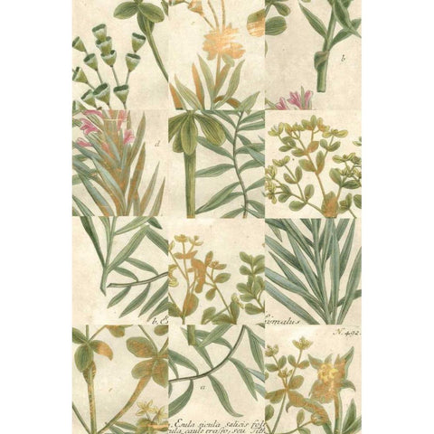 Garden Grid II White Modern Wood Framed Art Print by Weinmann, Johann
