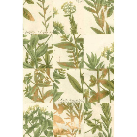 Garden Grid III White Modern Wood Framed Art Print by Weinmann, Johann