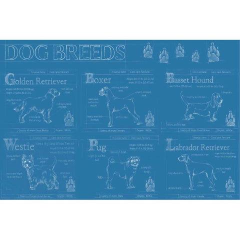 Dog Breeds Infograph Black Modern Wood Framed Art Print with Double Matting by Harper, Ethan